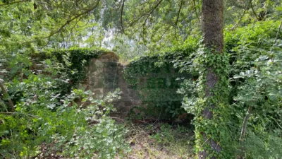 Rustic property in Baix Empordà photo 29