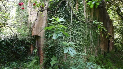 Rustic property in Baix Empordà photo 6