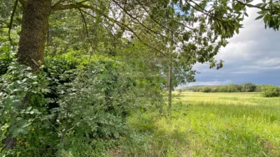 Rustic property in Baix Empordà photo 31