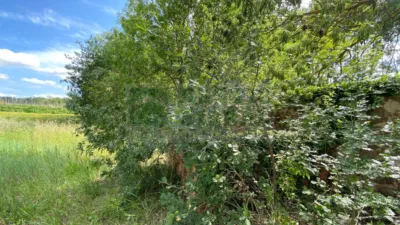 Rustic property in Baix Empordà photo 30