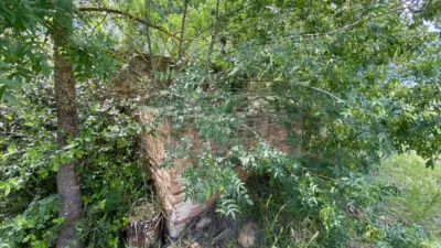 Rustic property in Baix Empordà photo 28