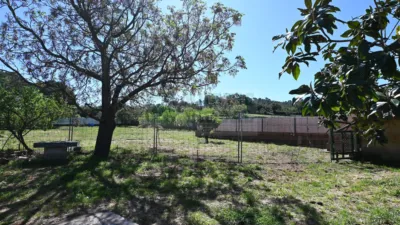 House in Camí de Sant Pol photo 39