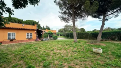 House in Camí de Sant Pol photo 30