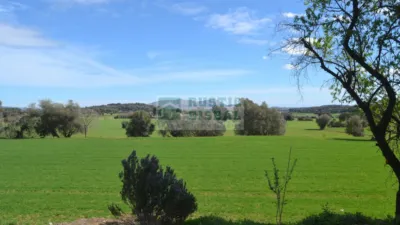 Finca rústica en alquiler en Baix Empordà, Rupià de 18.000 €
