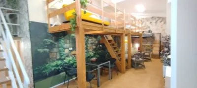 Loft in Algorta photo 5