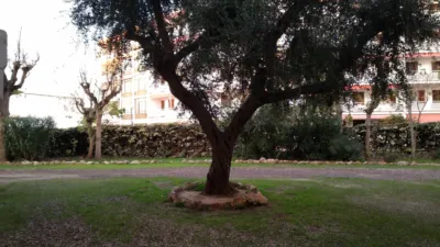 Apartamento en Carrer de Ruda photo 30