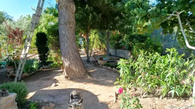 Detached villa at Pasaje los Morenos, No. 2 photo 21