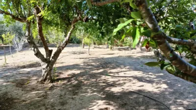 Detached villa at Pasaje los Morenos, No. 2 photo 29