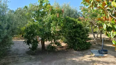 Detached villa at Pasaje los Morenos, No. 2 photo 27