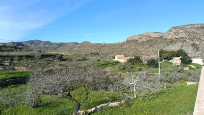 House at Pasaje Torre de Nicolás Pérez, No. 38 photo 33