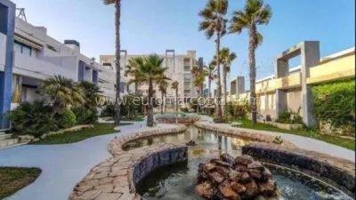 Pis – Torrevieja - Vista 2
