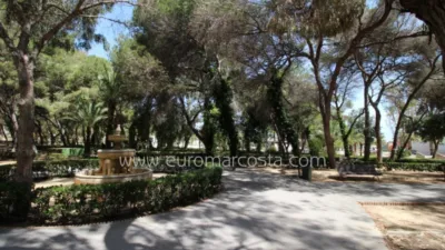 Apartment on Calle del Cantauesso photo 31