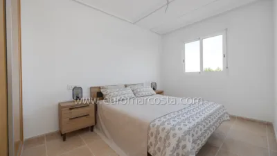 Apartment on Carrer Alcalde Manuel Bernabé Huertas photo 23