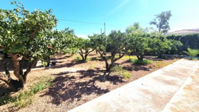 Chalet in Villamontes-Boqueres photo 11