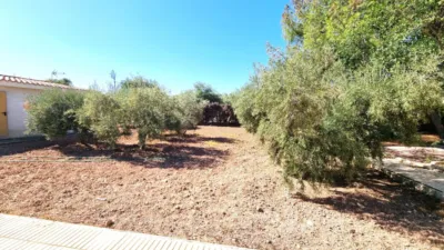 Casa – Sant Vicent del Raspeig - San Vicente del Raspeig - Vista 5