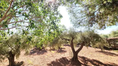 Casa – Sant Vicent del Raspeig - San Vicente del Raspeig - Vista 4