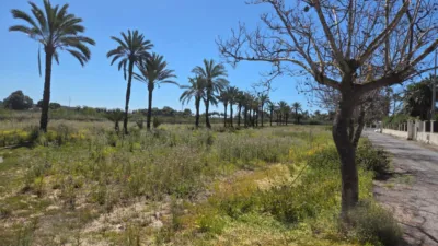 Casa – Elx / Elche, la Vallverda Baixa - Vista 4