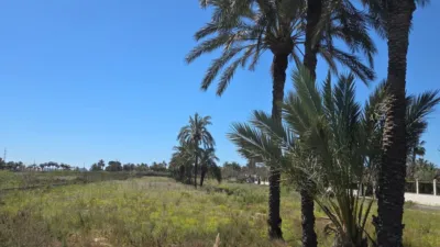 Casa – Elx / Elche, la Vallverda Baixa - Vista 5