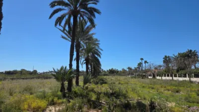 Casa – Elx / Elche, la Vallverda Baixa - Més