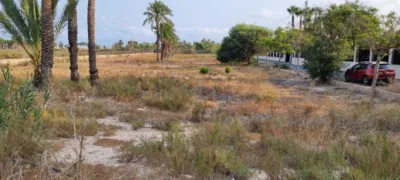 Casa – Elx / Elche, la Vallverda Baixa - Vista 3
