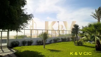 Casa adosada en calle Bungalow Playa del Inglés Primera Línea de Playa photo 13
