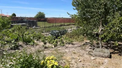 House on Camino Vial photo 26