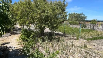 House on Camino Vial photo 30