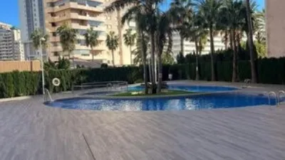 Apartment on Avinguda Juan Carlos I photo 16