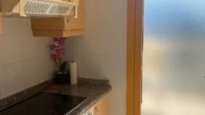 Apartment on Avinguda Juan Carlos I photo 8