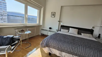 Piso en alquiler en Paseo de la Castellana, cerca de Calle de Pedro Teixeira - Imagen 7