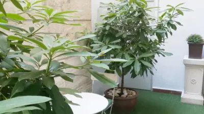 Dúplex en alquiler en Calle de Salustiano Olozaga - Imagen 3