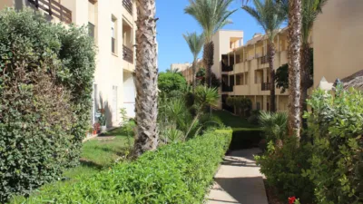 Apartment at Camino del Pavo Real, 97 photo 22