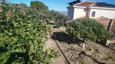 House on Calle de Marbella photo 20