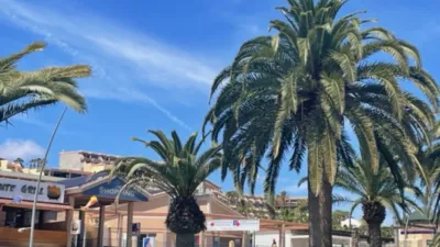 Local comercial en venta en Avenida del Saladar, Morro Jable (Pájara) de 491.500 €