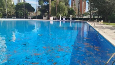 Apartment on Avenida de la Costa Blanca photo 32