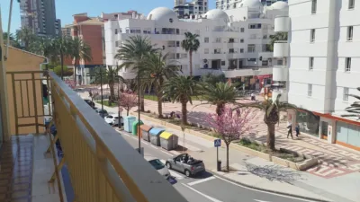 Apartment on Carrer de Sant Pere photo 47