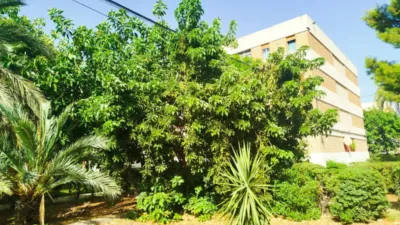 Piso – Alicante - Alacant - Vista 2