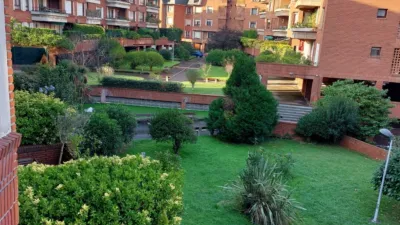 Apartment on Calle del Pinar photo 4