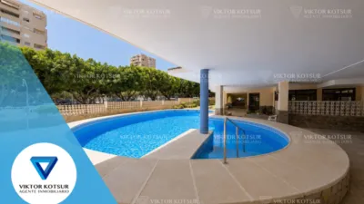 Apartment on Paseo del Palmeral photo 4