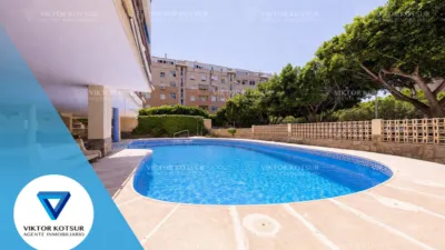 Apartment on Paseo del Palmeral photo 2