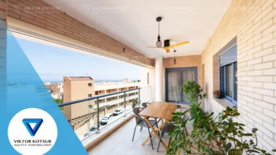 Apartment on Calle Miguel Rueda photo 3