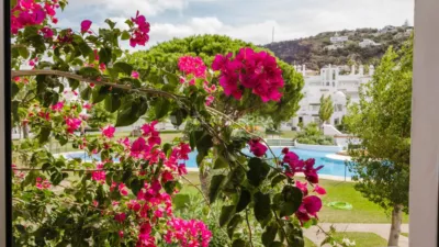 House in Zahara de los Atunes photo 23