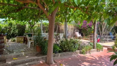Finca rústica en Carrer del Pou photo 5