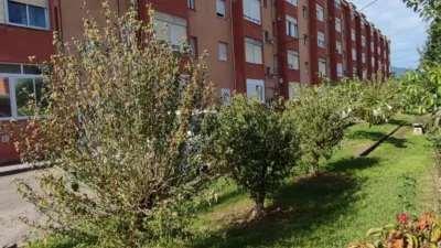 Piso en calle Castilla photo 29