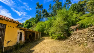 House in Barrio del Cabrojo photo 12