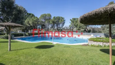 Apartment on Calle del Guadiana photo 38