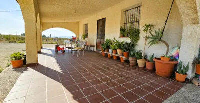 Detached house in Totana photo 5
