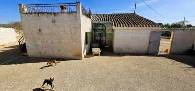 Detached house in Totana photo 47