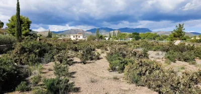 Rustic Chalet on Camino de los Molinos photo 9