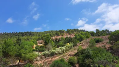 Rustic Chalet in Alhama de Murcia photo 17